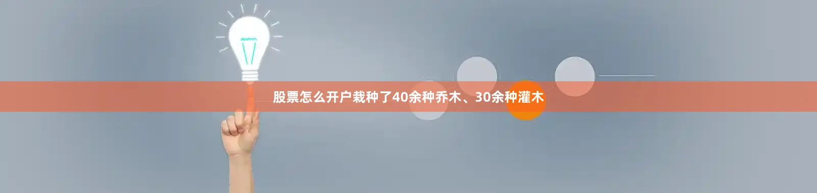 股票怎么开户栽种了40余种乔木、30余种灌木