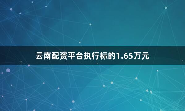 云南配资平台执行标的1.65万元